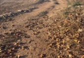 Non-developable land for sale in el Pla de Santa Maria ref: TR307291 photo