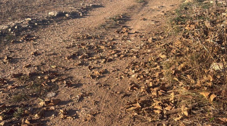 Tarragona - Пла-де-Санта-Мария - 10000m2