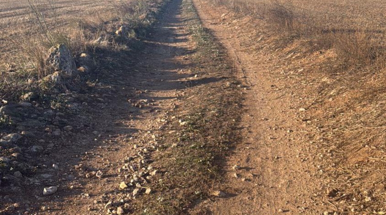 Tarragona - Пла-де-Санта-Мария - 10000m2