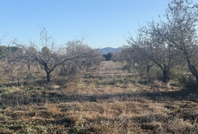 el Pla de Santa Maria 10000&nbsp;м²