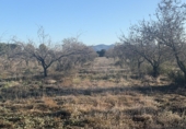Non-developable land for sale in el Pla de Santa Maria ref: TR307291 photo