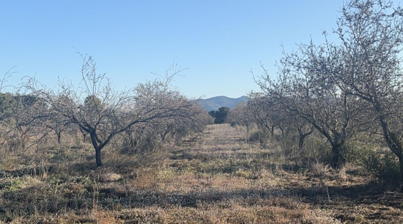 Tarragona - Пла-де-Санта-Мария - 10000m2