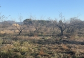 Non-developable land for sale in el Pla de Santa Maria ref: TR307291 photo