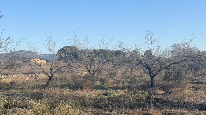 Tarragona - Пла-де-Санта-Мария - 10000m2