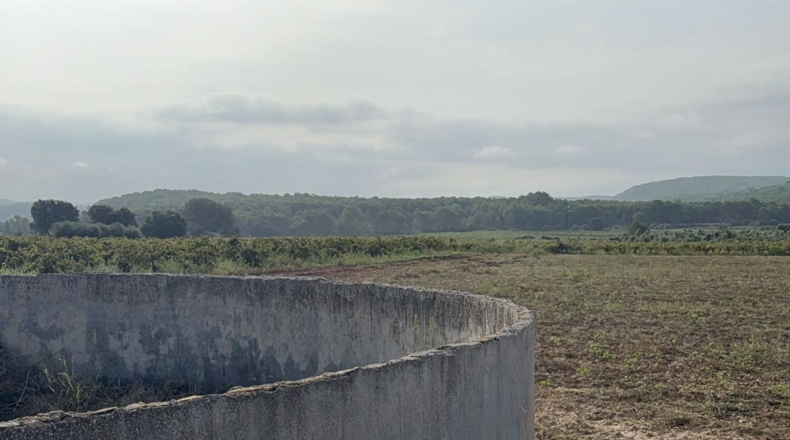 Tarragona - l'Arboç - 10000m2
