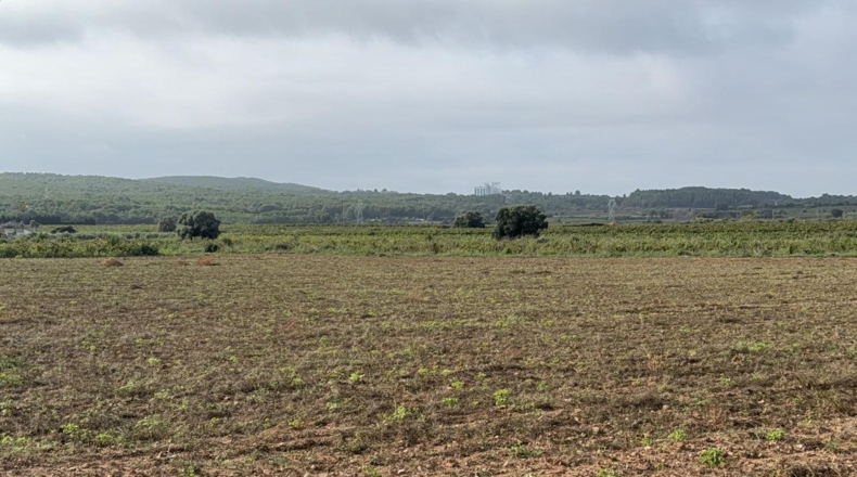 Tarragona - l'Arboç - 10000m2
