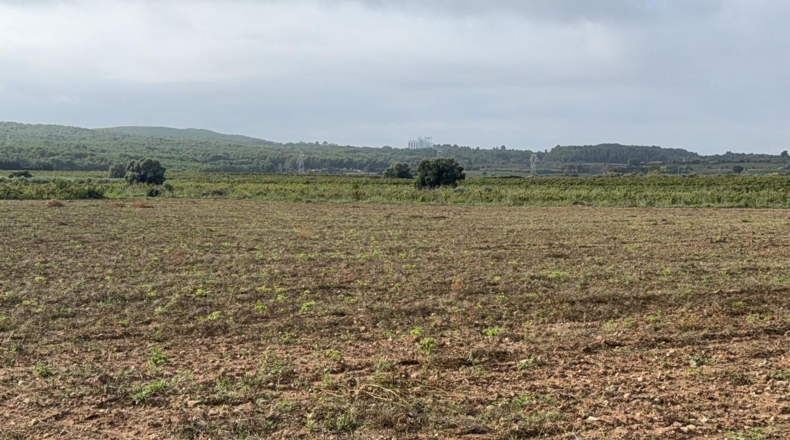 Tarragona - l'Arboç - 10000m2