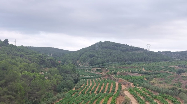 Tarragona - Альбиньяна - 55000m2