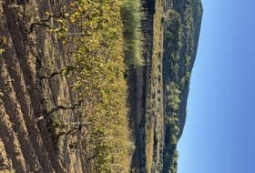 Foto 20