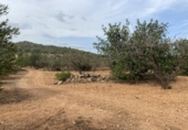 Finca rústica en venta en Tarragona ref: TR351376 foto