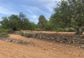 Finca rústica en venta en Tarragona ref: TR351376 foto