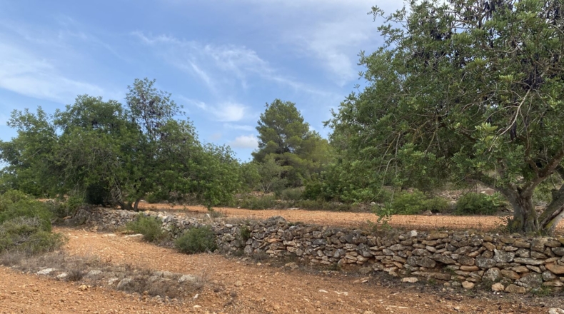 Tarragona - Tarragona - 50000m2