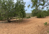 Finca rústica en venta en Tarragona ref: TR351376 foto