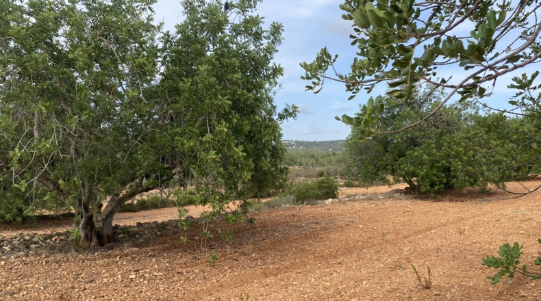 Tarragona - Tarragona - 50000m2