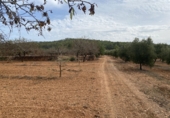 Finca rústica en venta en Tarragona ref: TR351376 foto
