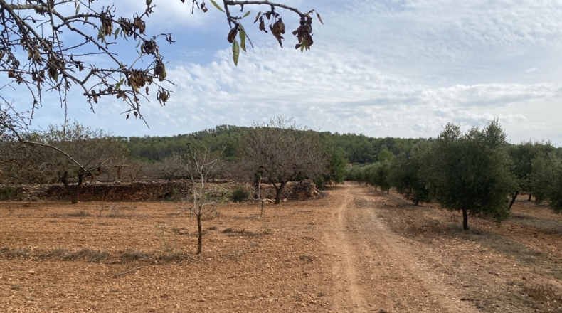 Tarragona - Tarragona - 50000m2