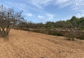 Finca rústica en venta en Tarragona ref: TR351376 foto