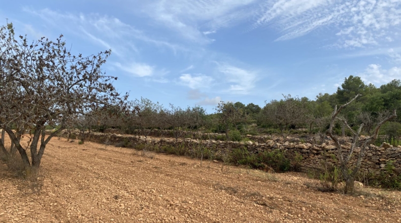 Tarragona - Tarragona - 50000m2