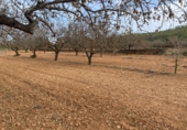 Finca rústica en venta en Tarragona ref: TR351376 foto