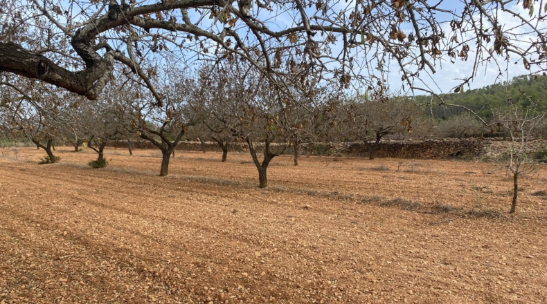 Tarragona - Tarragona - 50000m2