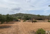 Finca rústica en venta en Tarragona ref: TR351376 foto