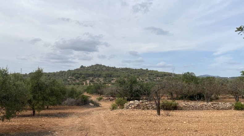 Tarragona - Tarragona - 50000m2