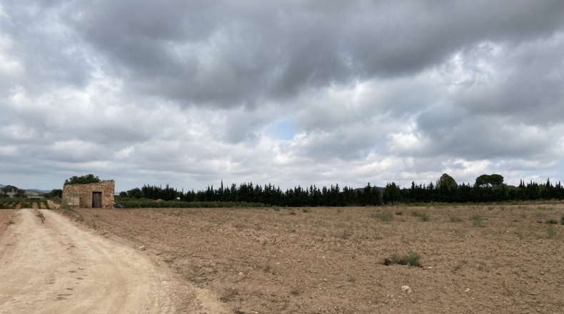 Tarragona - Tarragona - 50000m2
