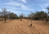 Finca rústica en venta en Tarragona ref: TR351376 foto