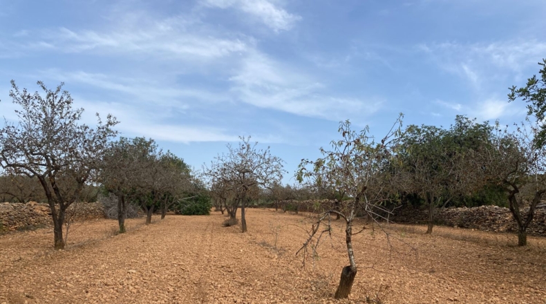 Tarragona - Tarragona - 50000m2