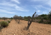 Finca rústica en venta en Tarragona ref: TR351376 foto
