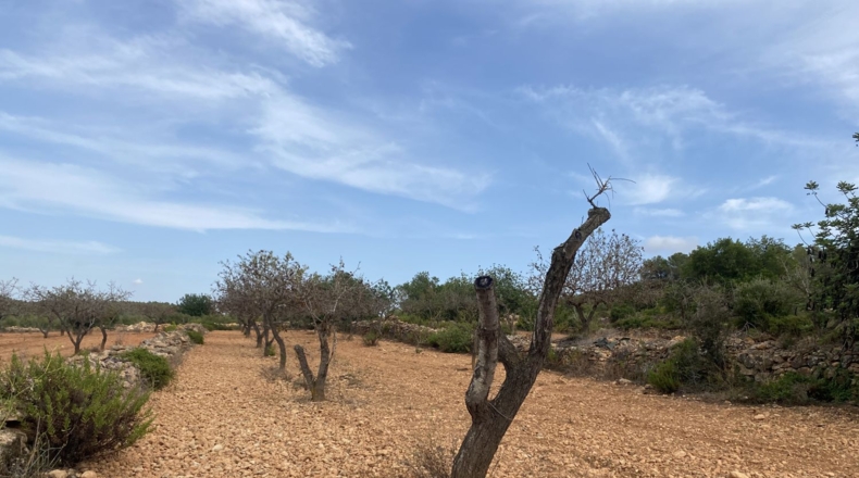 Tarragona - Tarragona - 50000m2