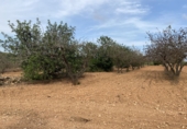 Finca rústica en venta en Tarragona ref: TR351376 foto