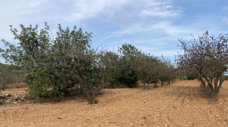 Tarragona - Tarragona - 50000m2