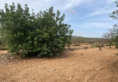 Finca rústica en venta en Tarragona ref: TR351376 foto