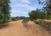 Finca rústica en venta en Tarragona ref: TR351376 foto