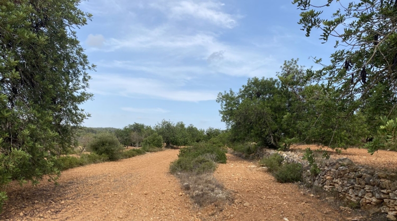 Tarragona - Tarragona - 50000m2