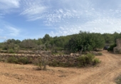 Finca rústica en venta en Tarragona ref: TR351376 foto