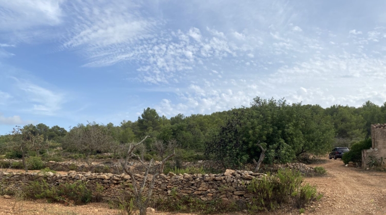 Tarragona - Tarragona - 50000m2