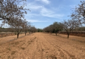 Finca rústica en venta en Tarragona ref: TR351376 foto