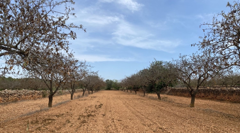 Tarragona - Tarragona - 50000m2