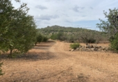 Finca rústica en venta en Tarragona ref: TR351376 foto