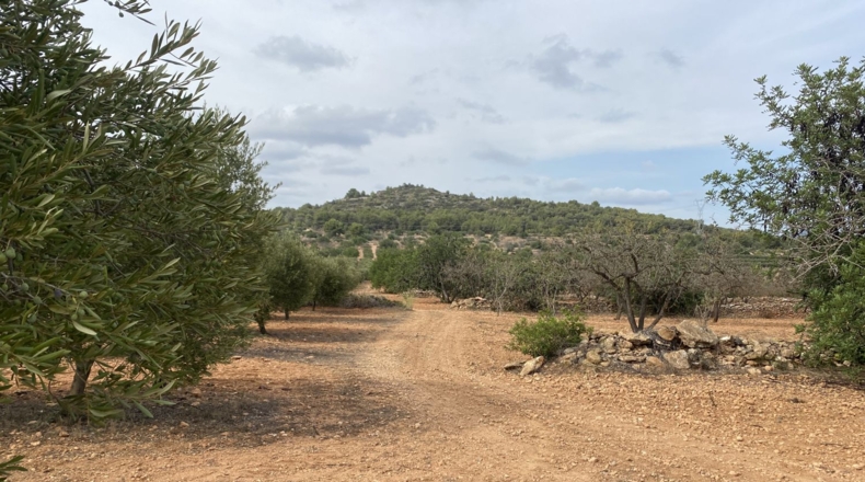 Tarragona - Tarragona - 50000m2