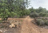 Finca rústica en venta en Tarragona ref: TR351376 foto