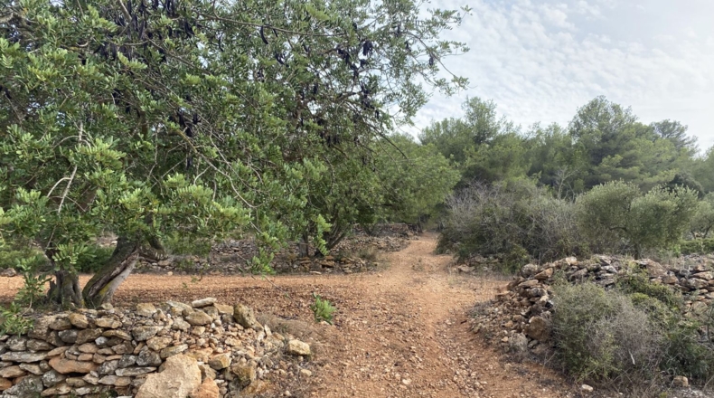 Tarragona - Tarragona - 50000m2