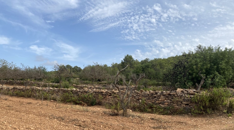 Tarragona - Tarragona - 50000m2