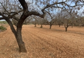 Finca rústica en venta en Tarragona ref: TR351376 foto