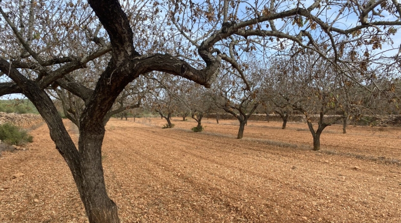 Tarragona - Tarragona - 50000m2