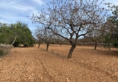 Finca rústica en venta en Tarragona ref: TR351376 foto