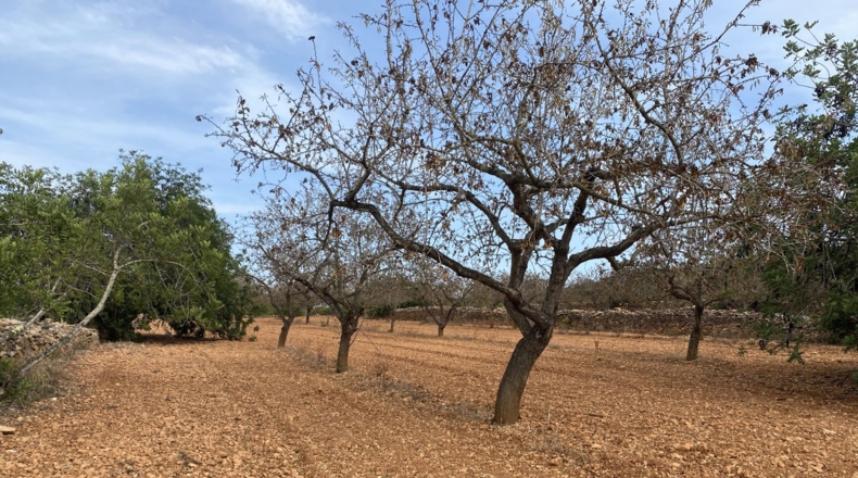 Tarragona - Tarragona - 50000m2