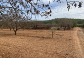 Finca rústica en venta en Tarragona ref: TR351376 foto